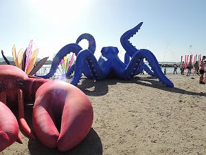 2024 11 02 EN FLANANT SUR SANARY (15)